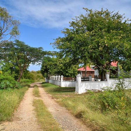 Gites Du Domaine De La Canne A Sucre Anse-Bertrand Dış mekan fotoğraf